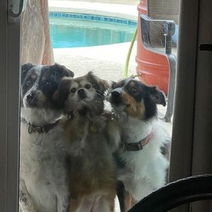 Meet your Posher, Elma